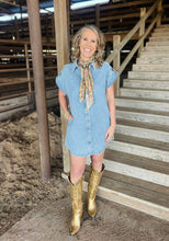 Load image into Gallery viewer, Light Wash Denim Classic Dress
