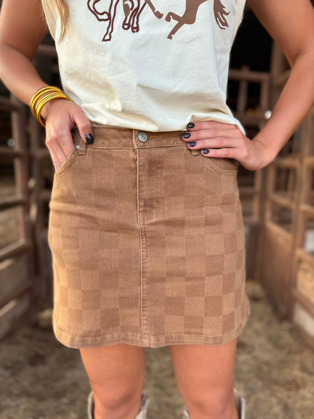 Spice It Up Checkered Skirt